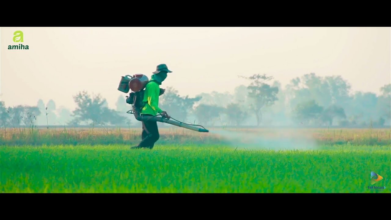 Amiha Corporate Film Covered